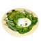 Roman 8.5 Inch Frog Garden Stepping Stone Summer Garden Stepping Stone , Indoor Outdoor